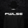 PWLSE