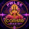 PWLSE
